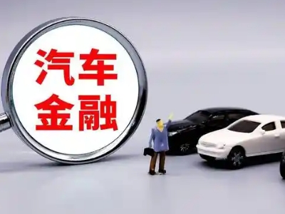 永善押车贷款不是本人可以么?